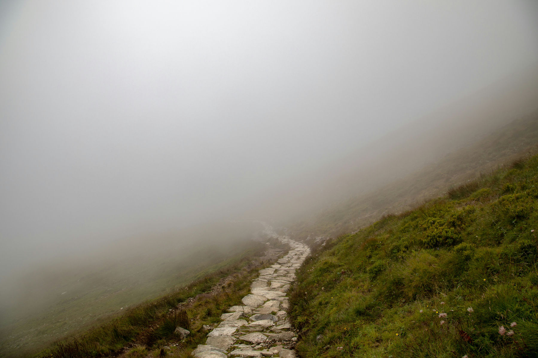 Sendero de montaña entre la niebla
